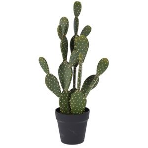 Koopman Umelý kaktus Hayden, 14 cm