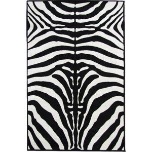 Tempo Kondela Kusový koberec Arwen Zebra, 100 x 140 cm