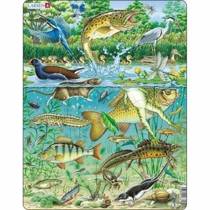 Larsen Puzzle Zvieratá v rybníku, 50 dielikov