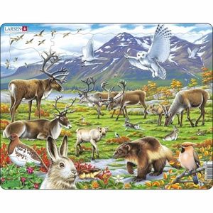 Larsen Puzzle Zvieratá v stepi, 50 dielikov
