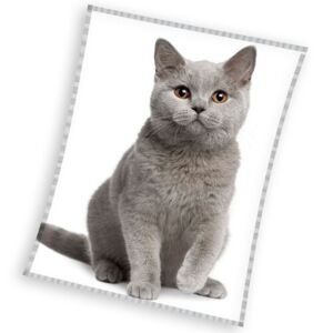 Tiptrade Mikroplyšová deka Britská mačka sivá, 150 x 200 cm