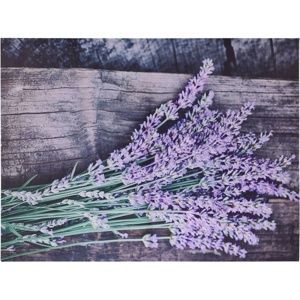 Obraz na plátne Nantes Lavender, 78 x 58,5 cm 