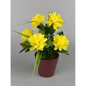 Umelá kvetina Chryzantéma v kvetináči 22 cm, žltá